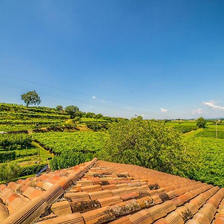 Agriturismo Corte Albarel Castelnuovo del Garda Kültér fotó