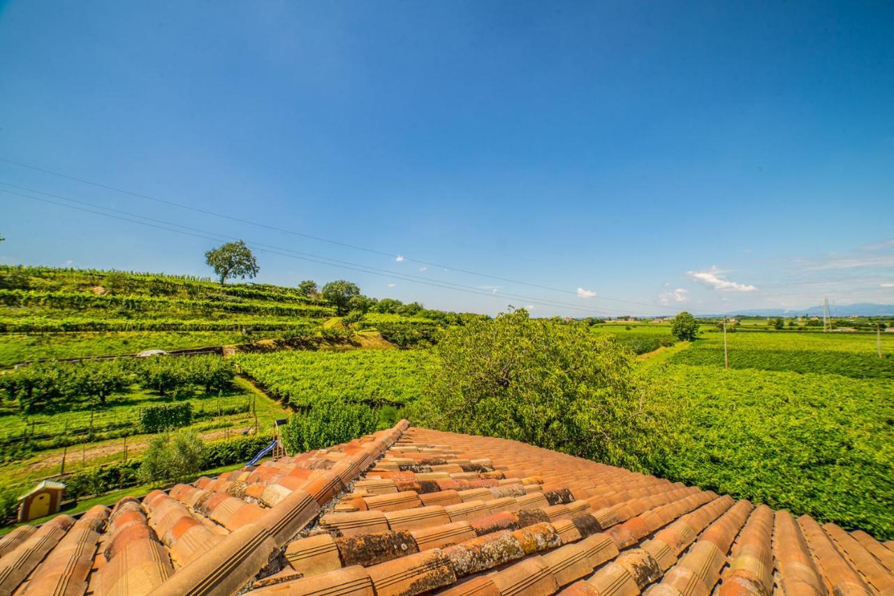 Agriturismo Corte Albarel Castelnuovo del Garda Kültér fotó