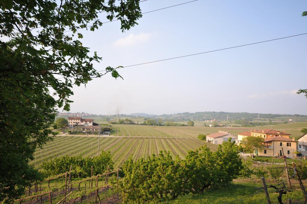 Agriturismo Corte Albarel Castelnuovo del Garda Kültér fotó